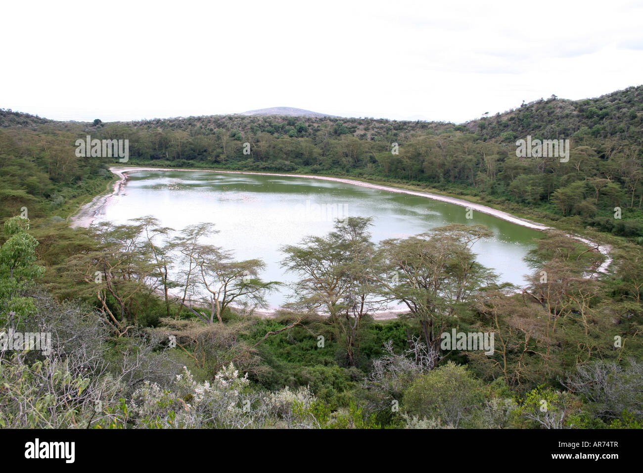 Crater Lake Lake Naivasha Kenya Stock Photo Alamy