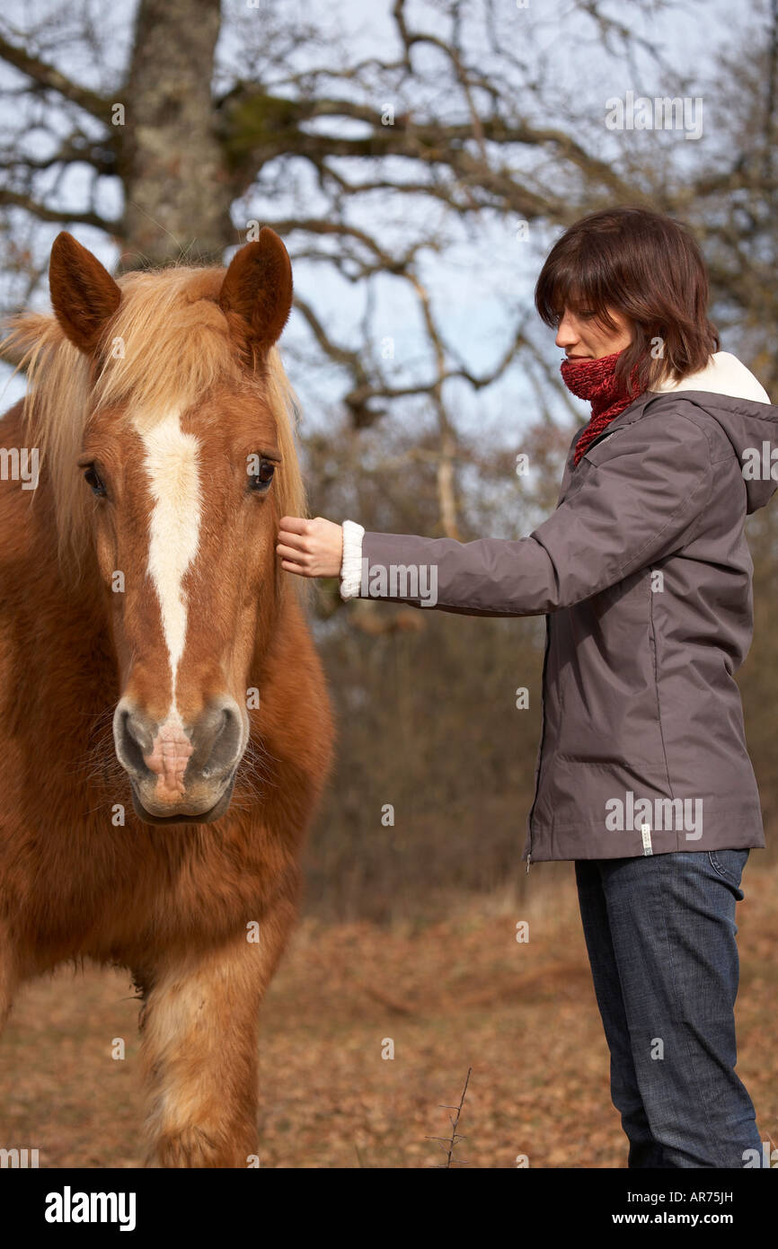 Young woman stroking a draught horse Stock Photo Alamy