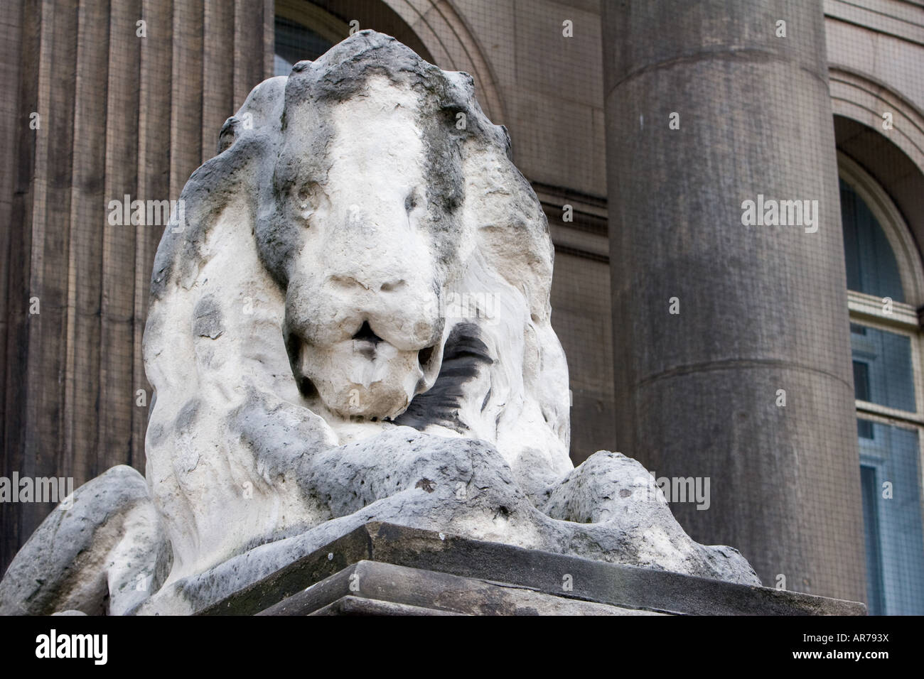 Acid Rain Effects On Statues