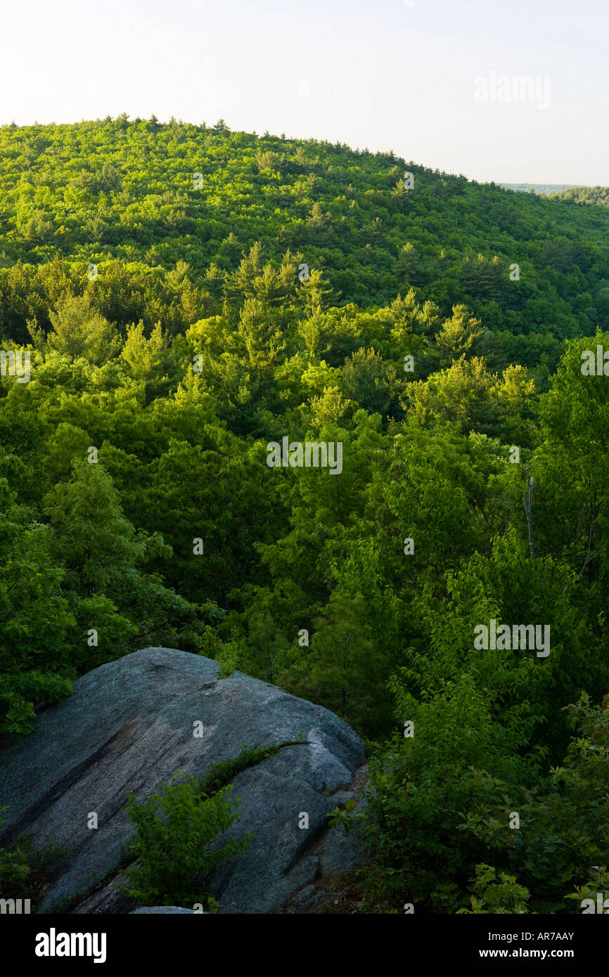 Blackstone canal hires stock photography and images Alamy