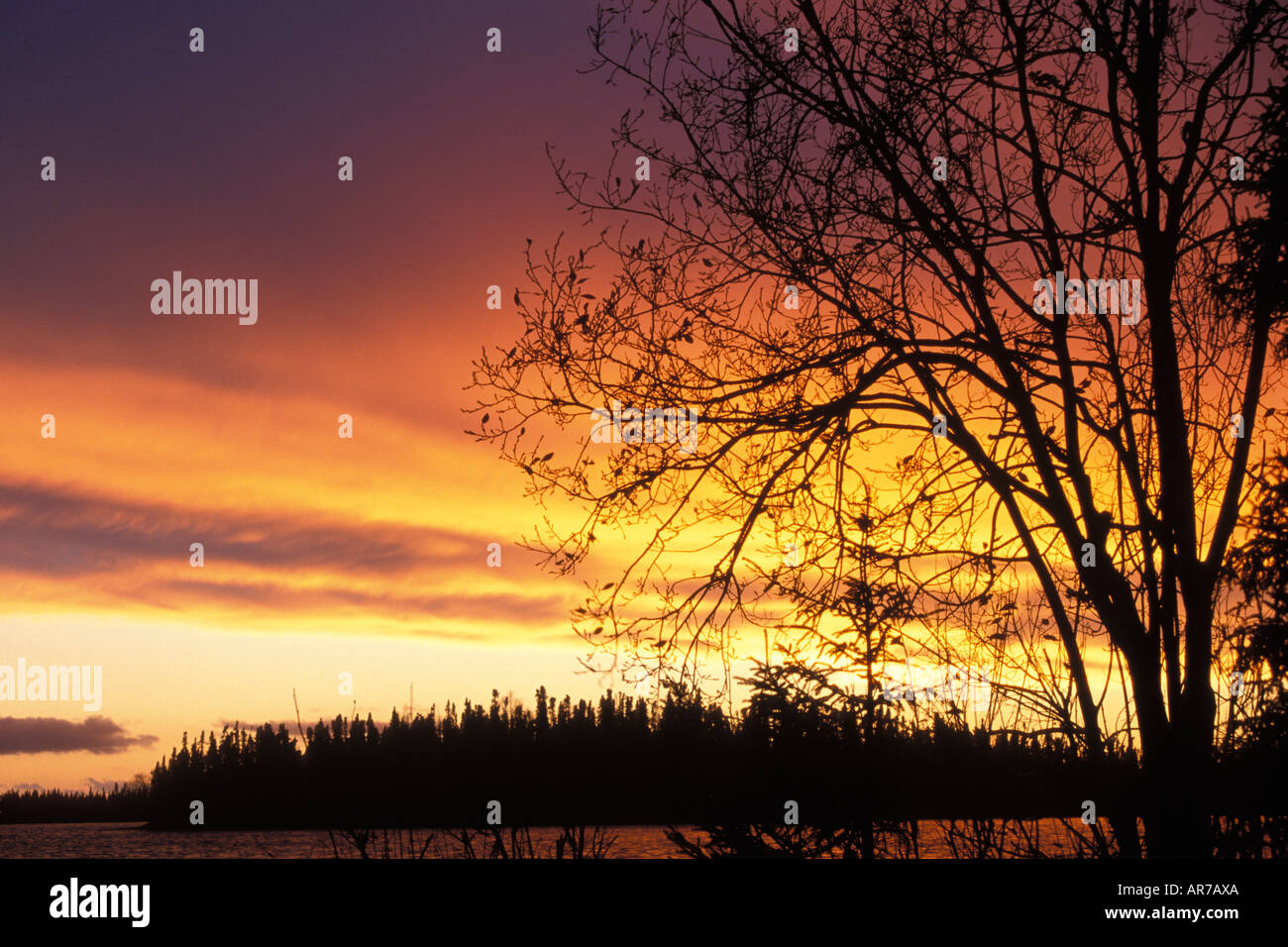 Kenai peninsula silhouette hi-res stock photography and images - Alamy