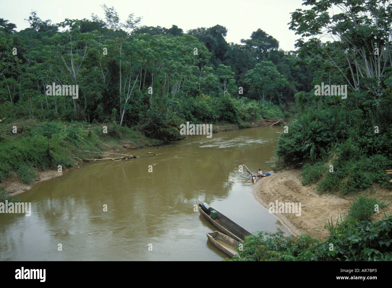 a river in the Amazon rainforest Ecuador South America Stock Photo - Alamy