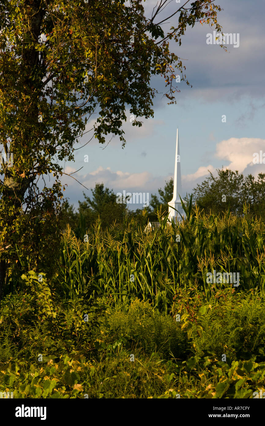 A corn field on a farm in Pepperell, Massachusetts. Church Stock Photo