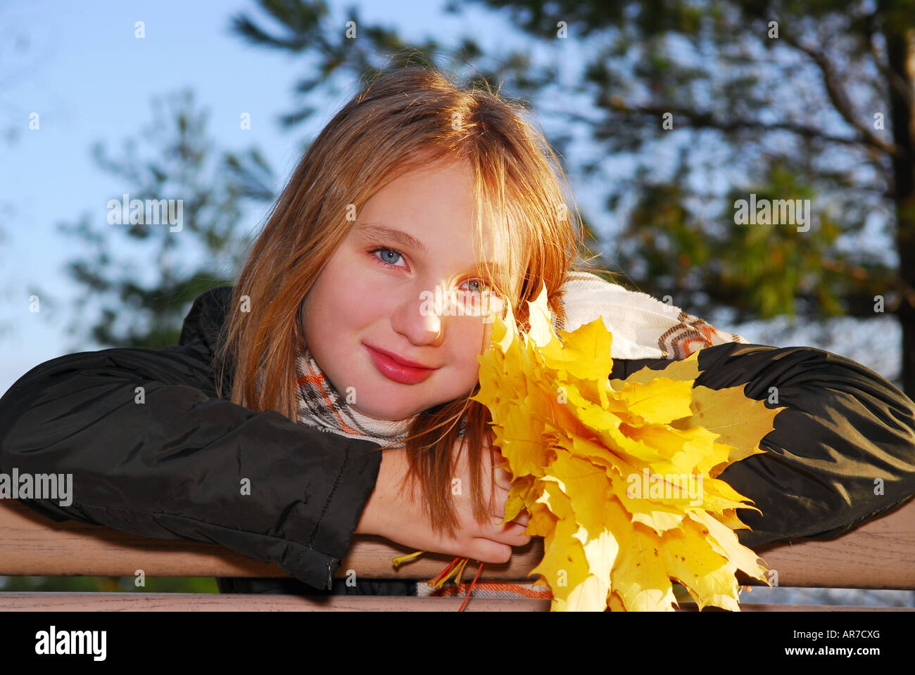 Portrait of a beautiful teenage girl with yellow fall maple leaves ...