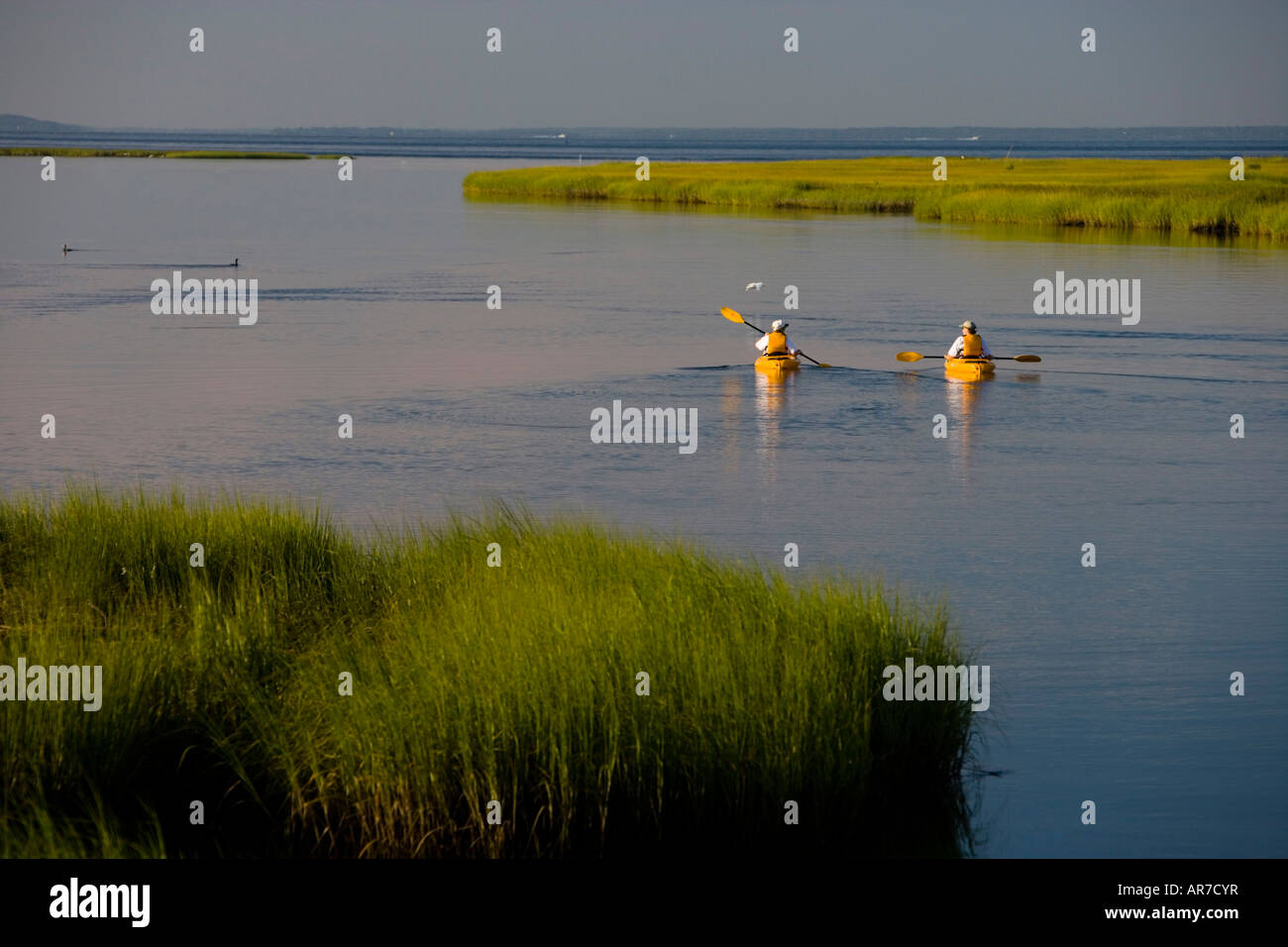 Kayakers paddle between Great Island and the shoreline in Old Lyme in