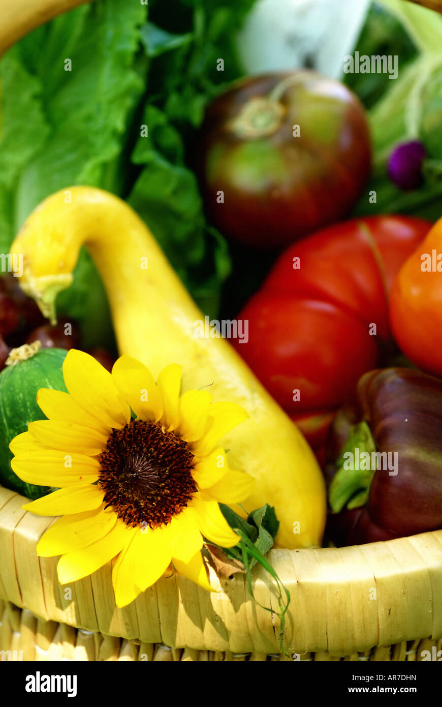 Wicker basket filled with fruits vegetables and flower fresh from the ...
