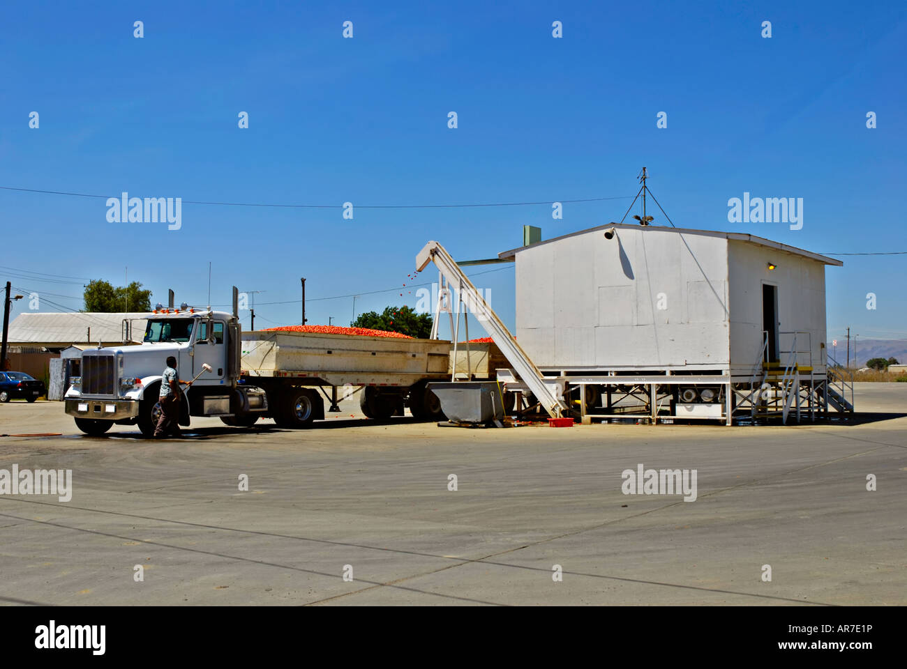 Tomato processing plant california hi-res stock photography and images -  Alamy