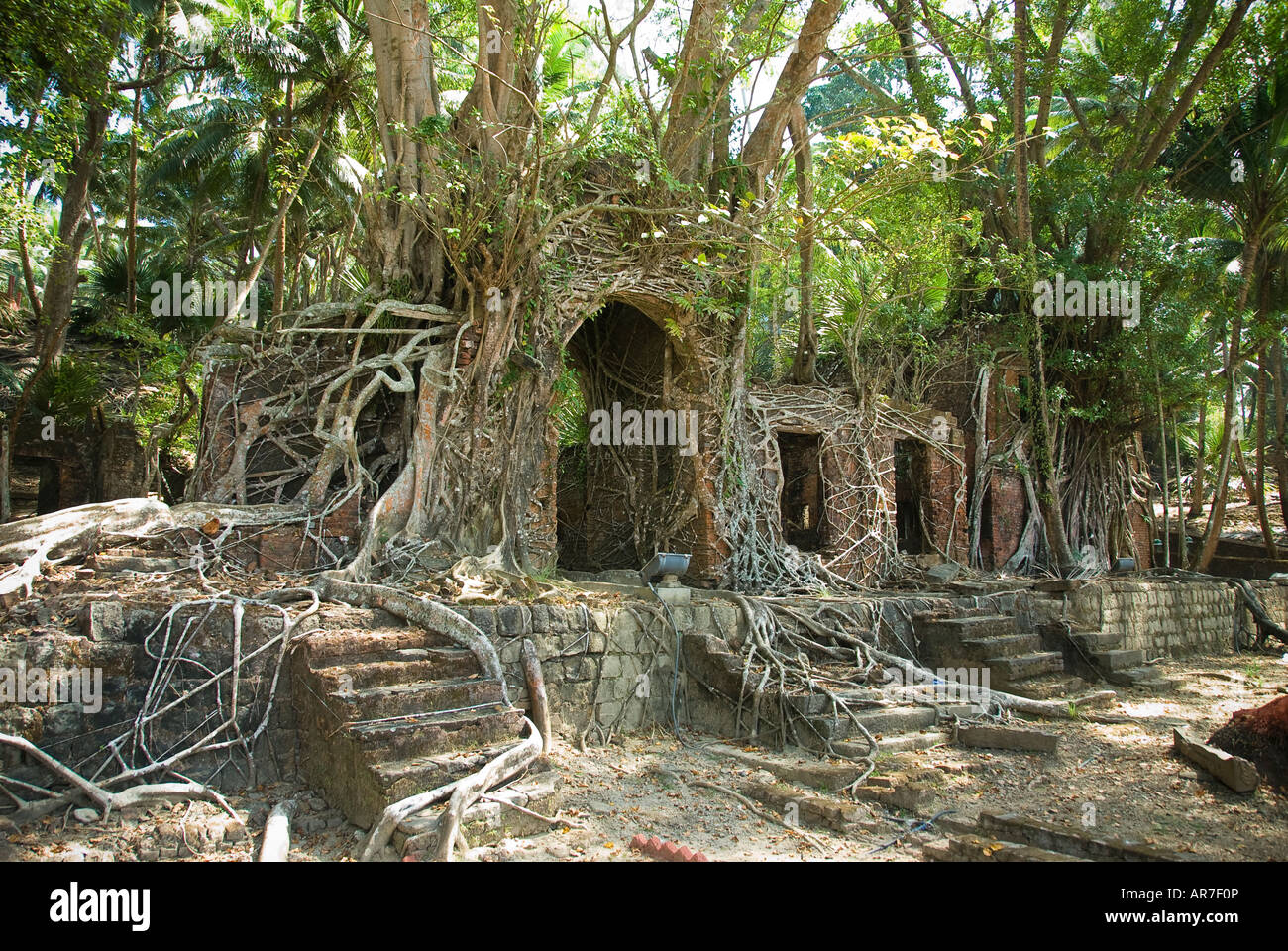 Old British colonial building on Ross Island overgrown by trees in the ...