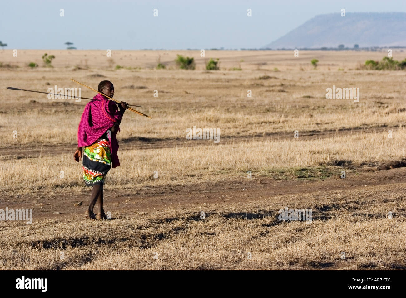 Maasai man walking on the plains of the Masai Mara carrying a spear Stock Photo