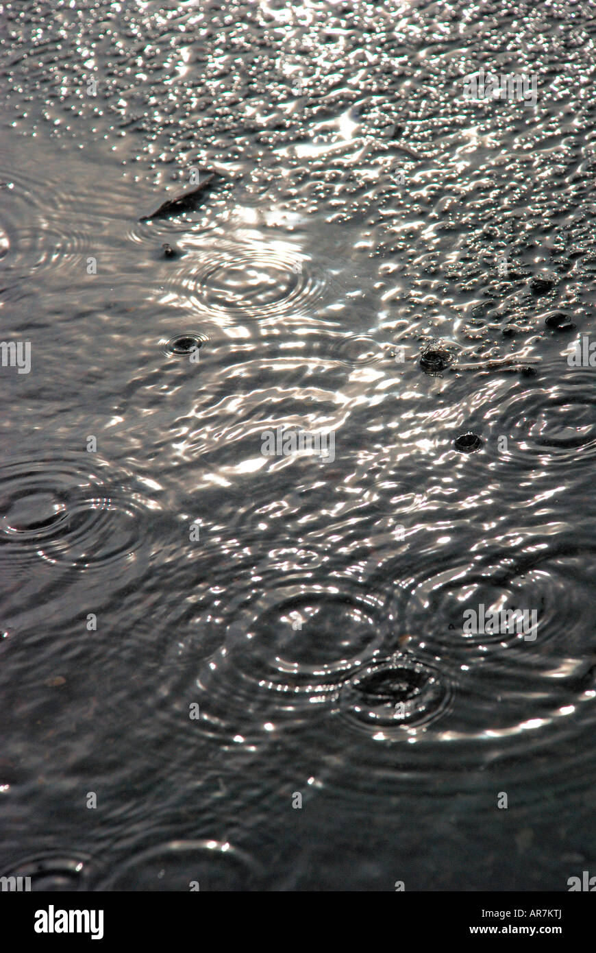 ripples from rain on puddle on black tarmac road. Stock Photo