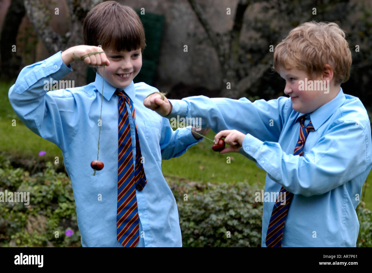 boys playing conkers Stock Photo