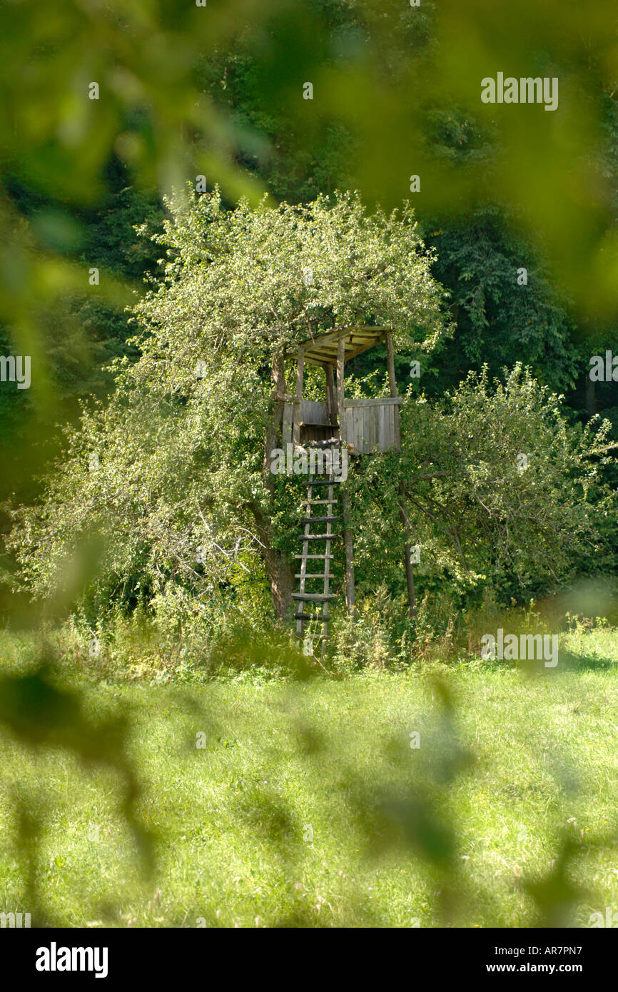 Hunter's elevated hide in eastern Slovakia Stock Photo