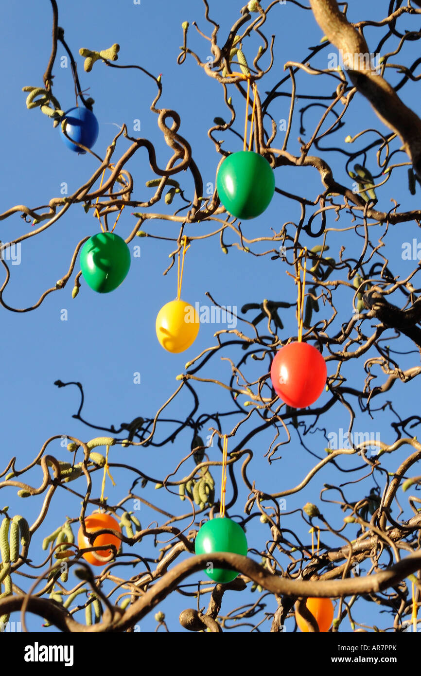 colored eggs in a tree as Easter decoration, bunte Eier im Baum als Osterschmuck Stock Photo