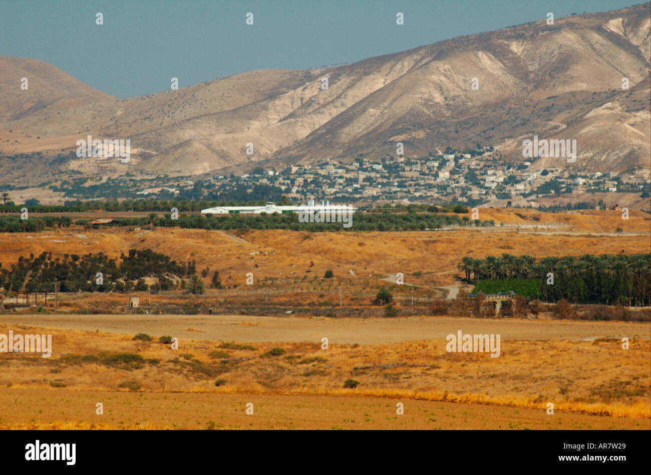 View of the Jordan Valley from the west Israel Stock Photo Alamy