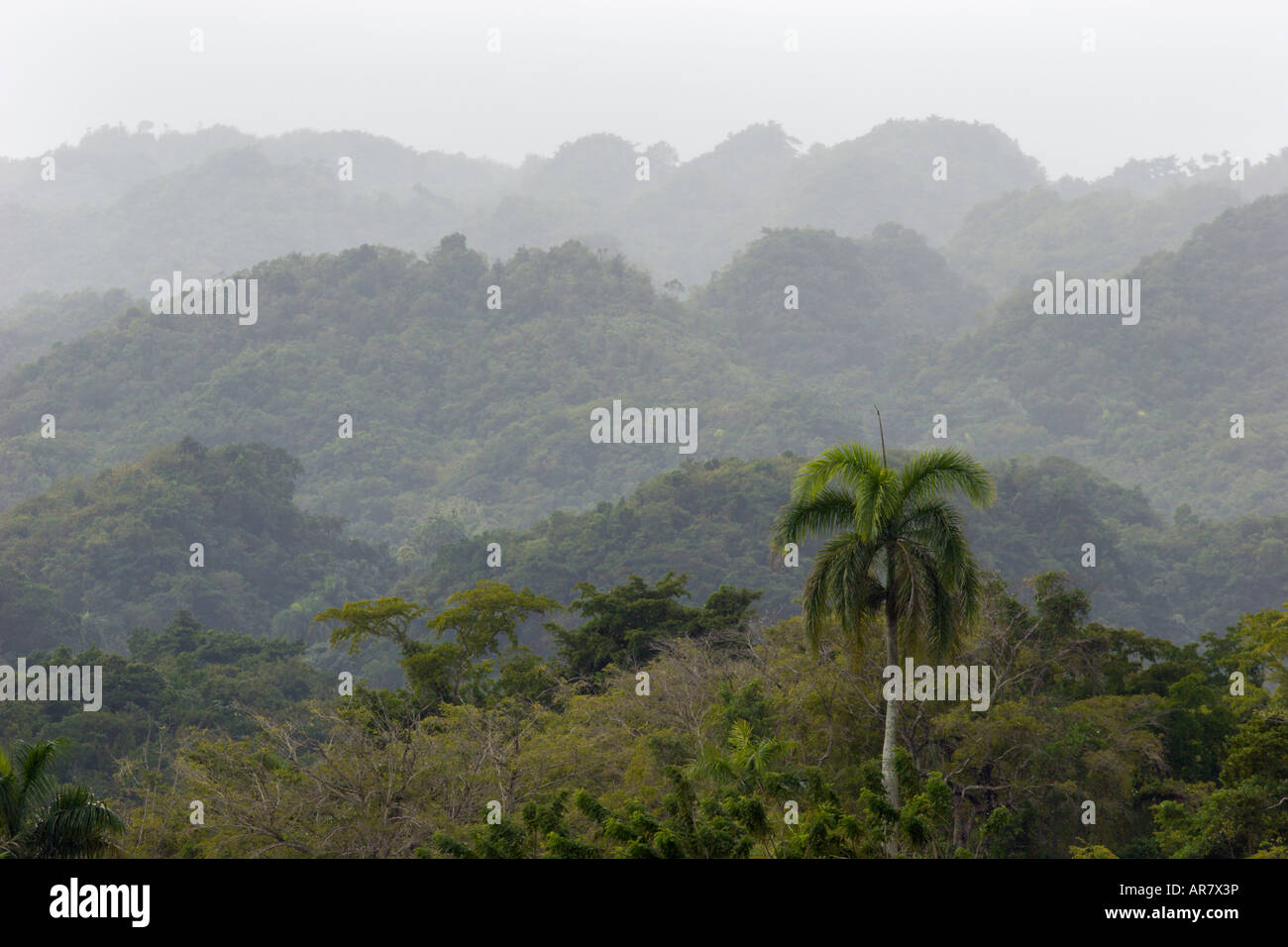 jungle hills Dominican Republic Stock Photo Alamy