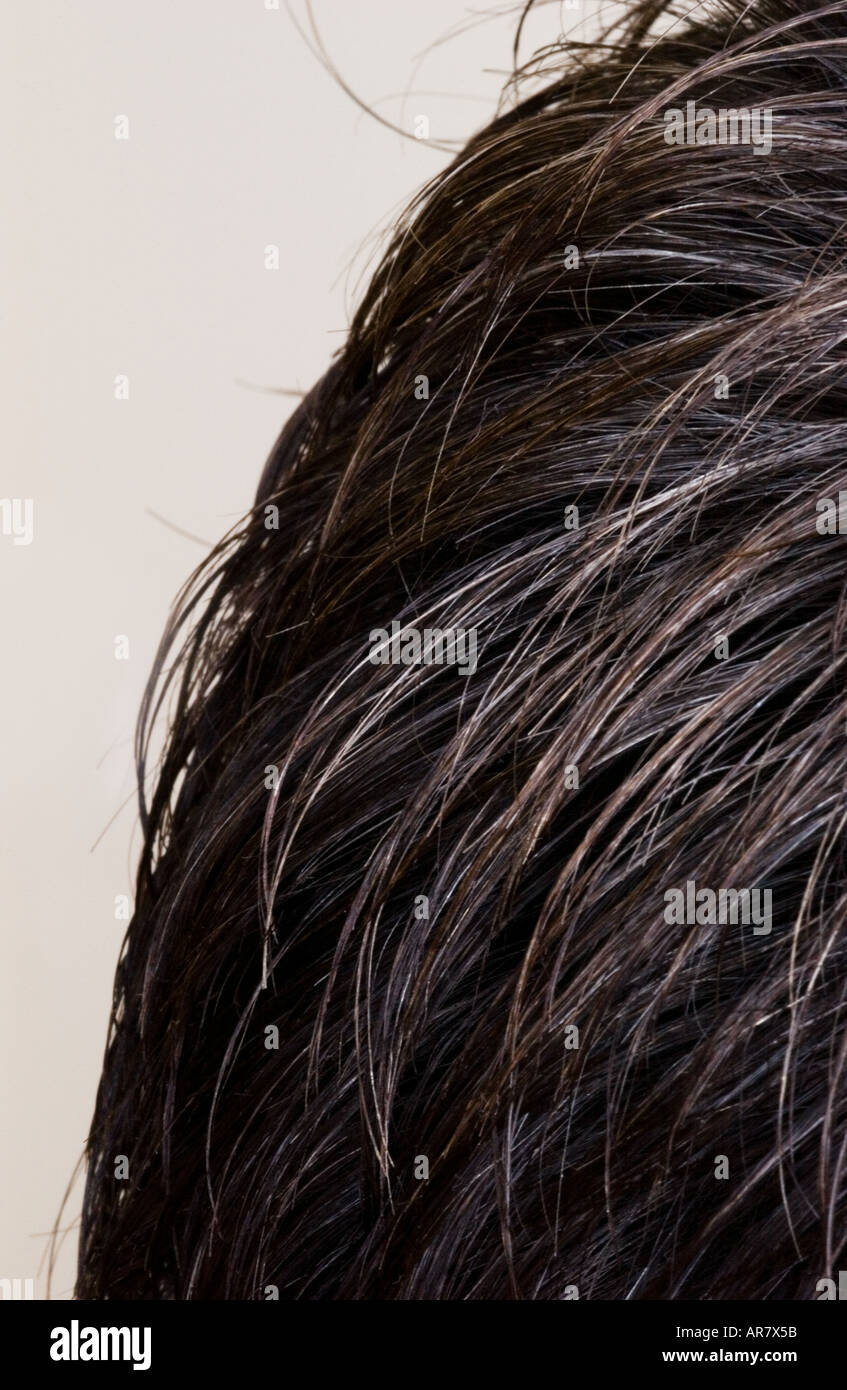 Sectioned hair hi-res stock photography and images - Alamy