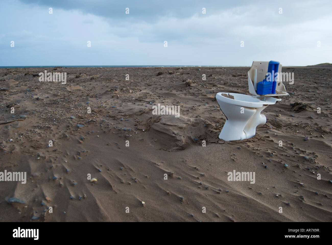Toilet on the Beach Stock Photo