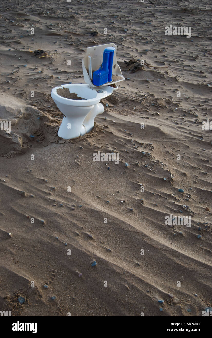 Toilet on the Beach Stock Photo