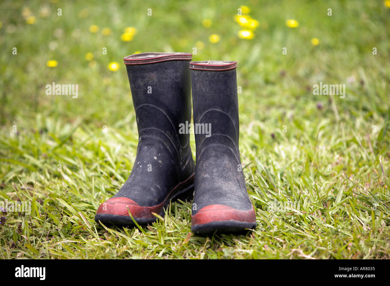 muddy gumboots in grass Stock Photo - Alamy