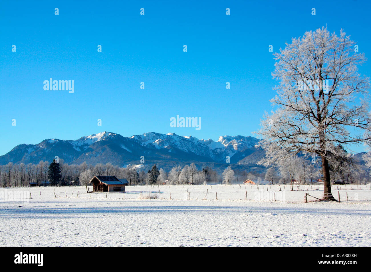 winter landscape with Brauneck and Benediktenwand mountainrange near Lenggries Bavaria Germany Europe Stock Photo