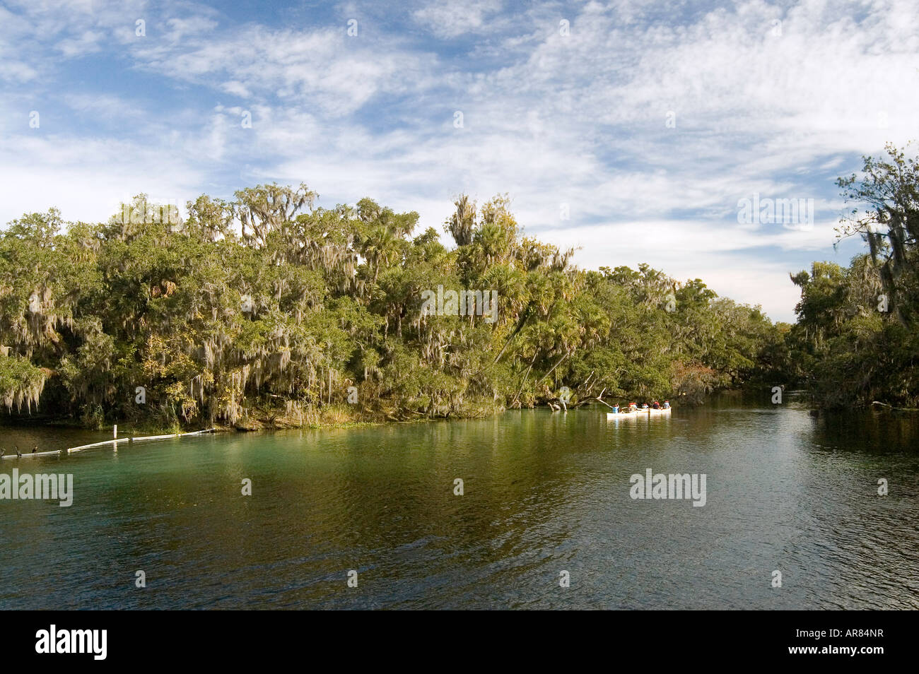 people kayaking in central florida Stock Photo