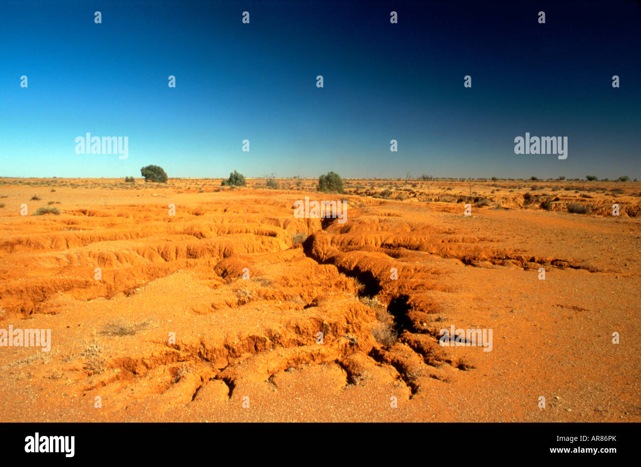 Parched landscape and dry riverbed in outback Australia Stock Photo Alamy