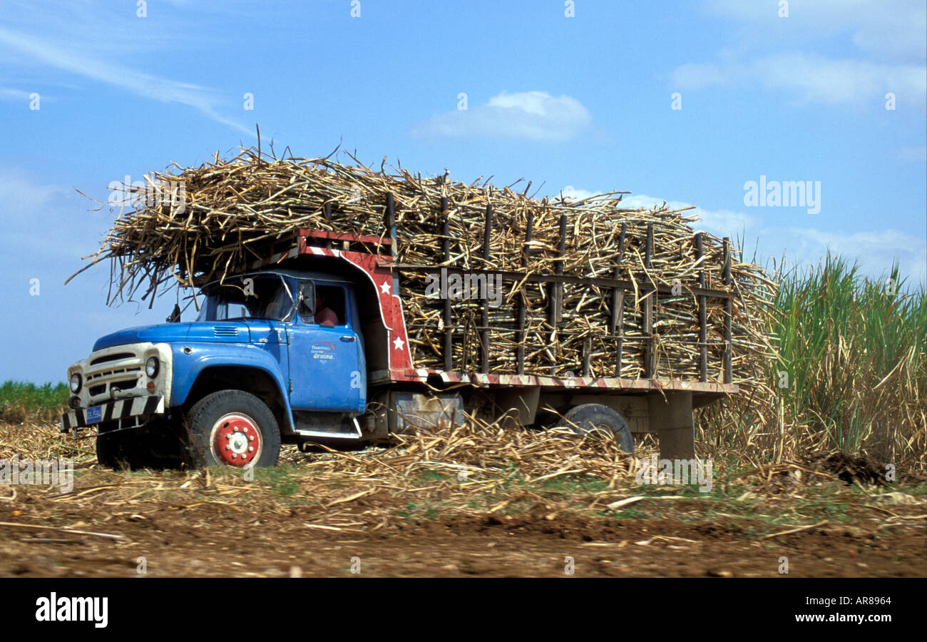 Truck Loaded With Sugarcane Stock Photo