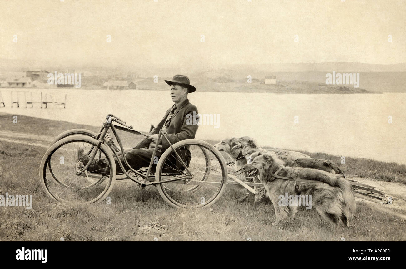 Vintage Photo of Weird Recumbent BikeTowing Dogs Behind Stock Photo Alamy