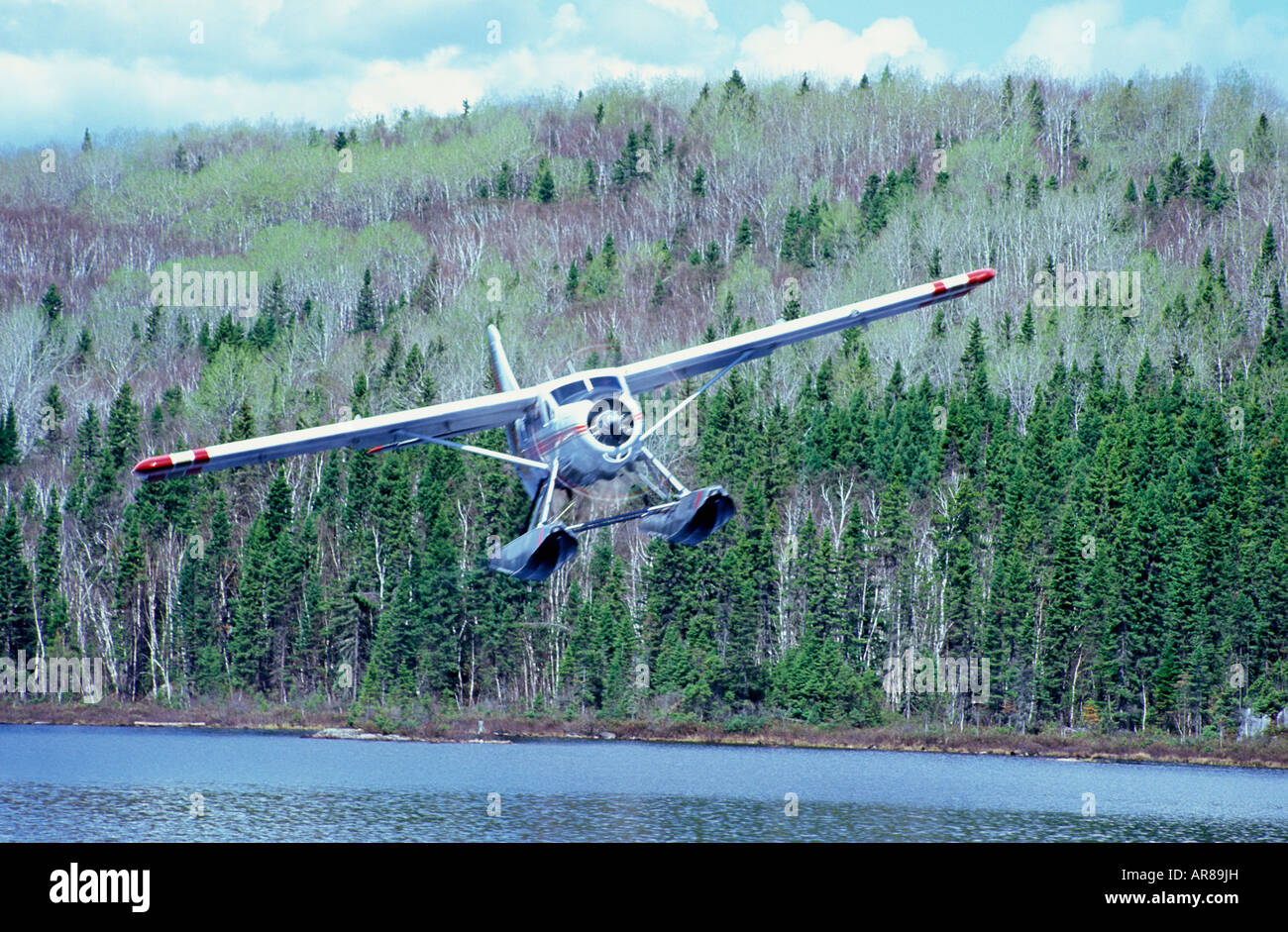 Bush plane in flight Stock Photo Alamy