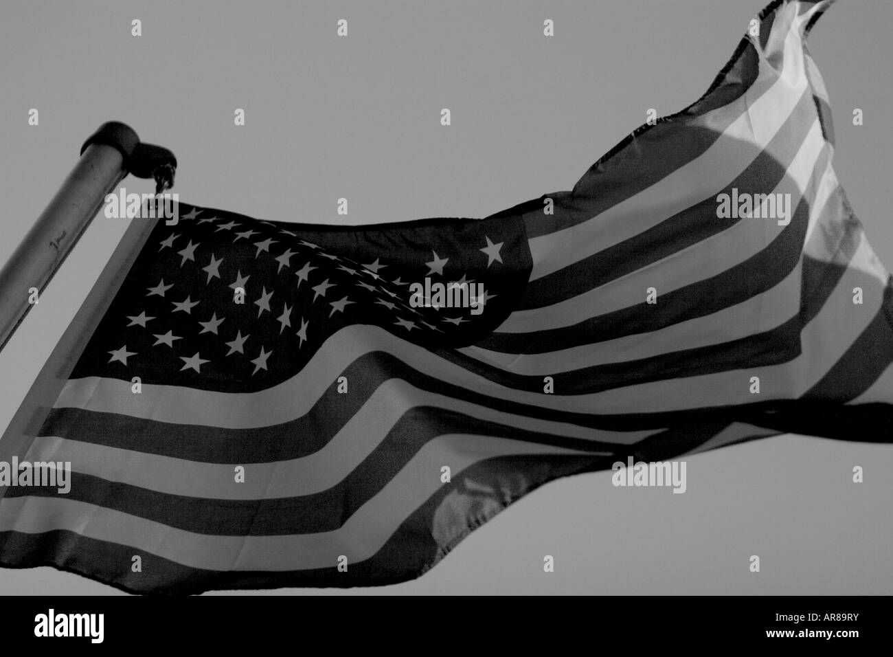 Us flag protest Black and White Stock Photos & Images - Alamy