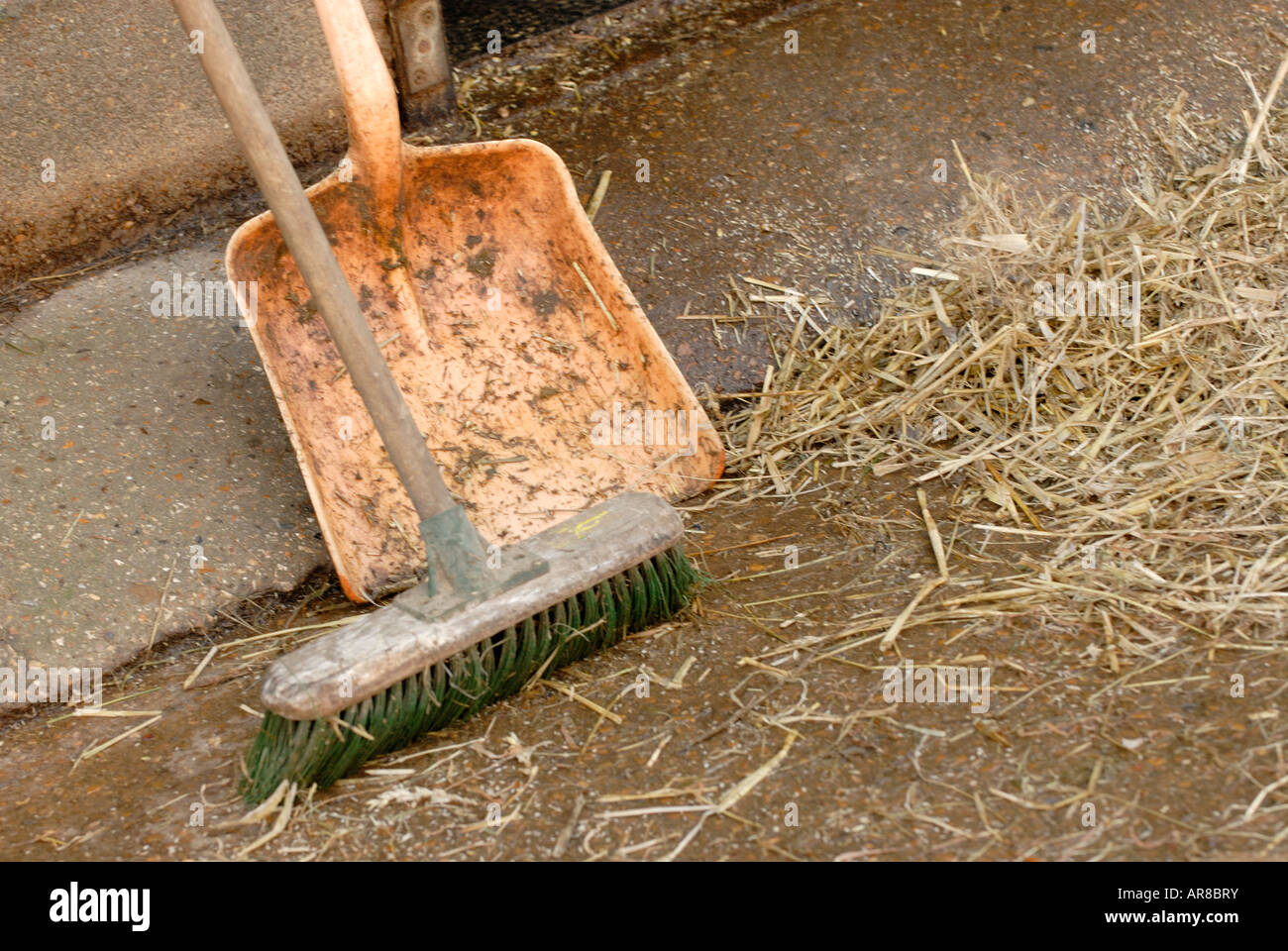 a broom brush and shovel spade outside of a stables used for mucking