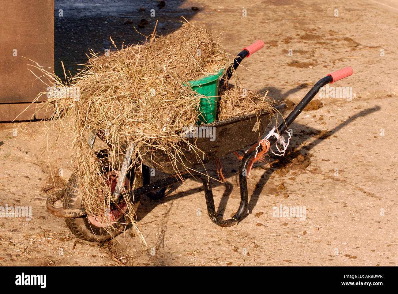 wheelbarrow at a horse riding stables used for mucking cleaning out