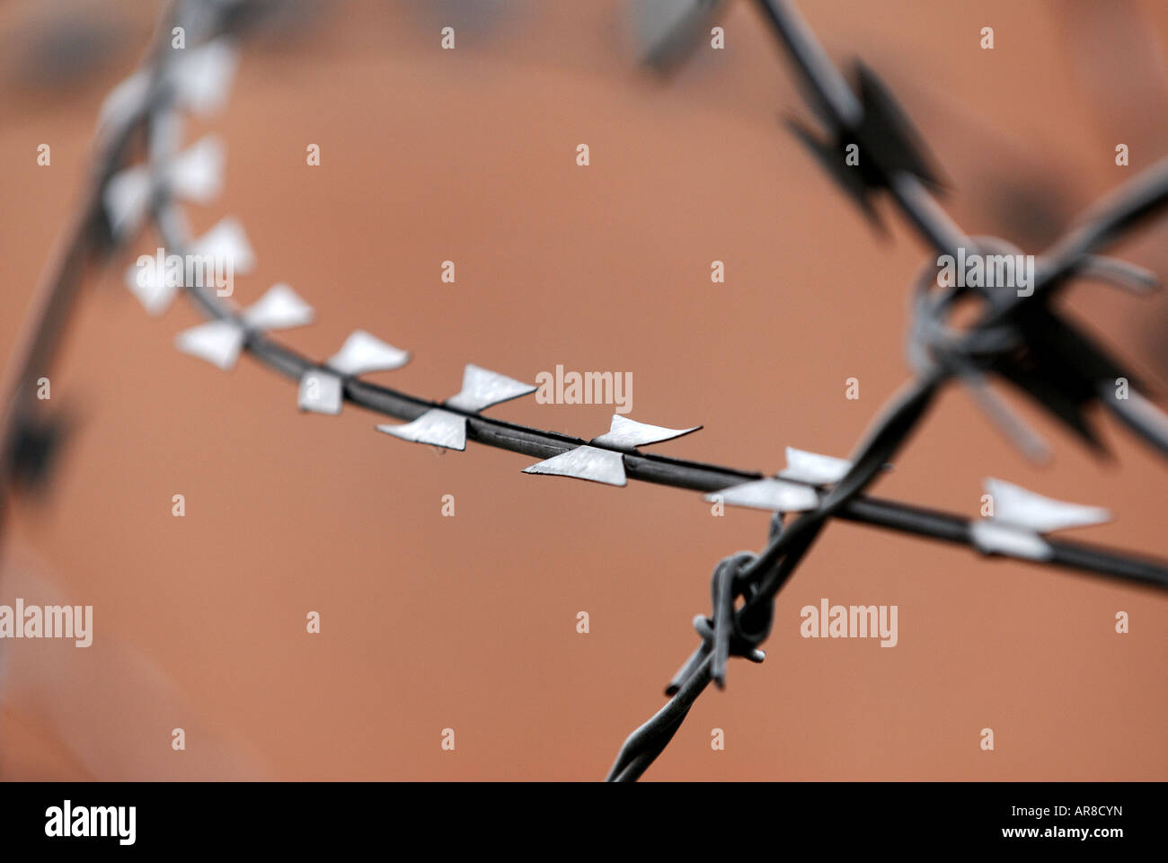 Barbed wire and razor wire security fence Belfast Northern Ireland Stock Photo Alamy