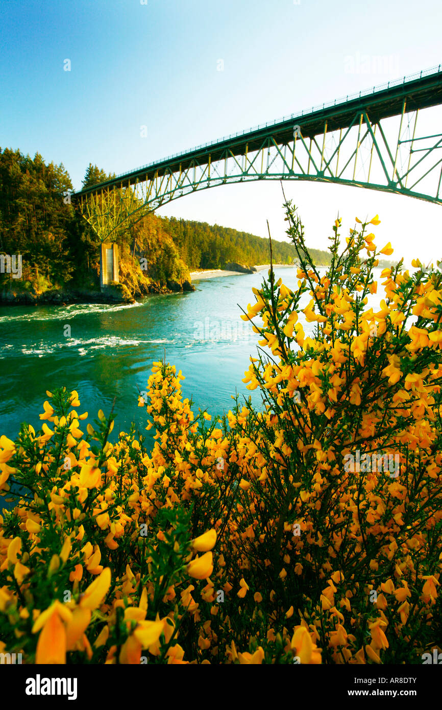 Deception Pass bridge, Whidbey Island, Washington State Stock Photo