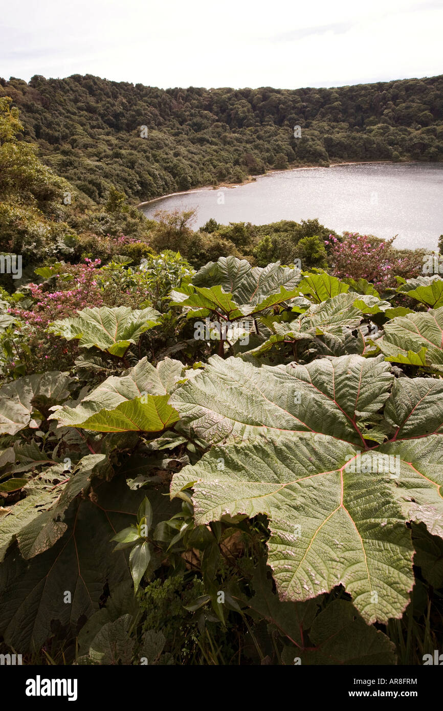 Costa Rica Poas Volcano National Park Laguna Botos Lagoon Stock Photo ...