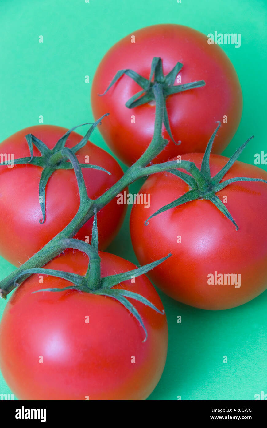 Ripe red truss tomatoes on green background Stock Photo