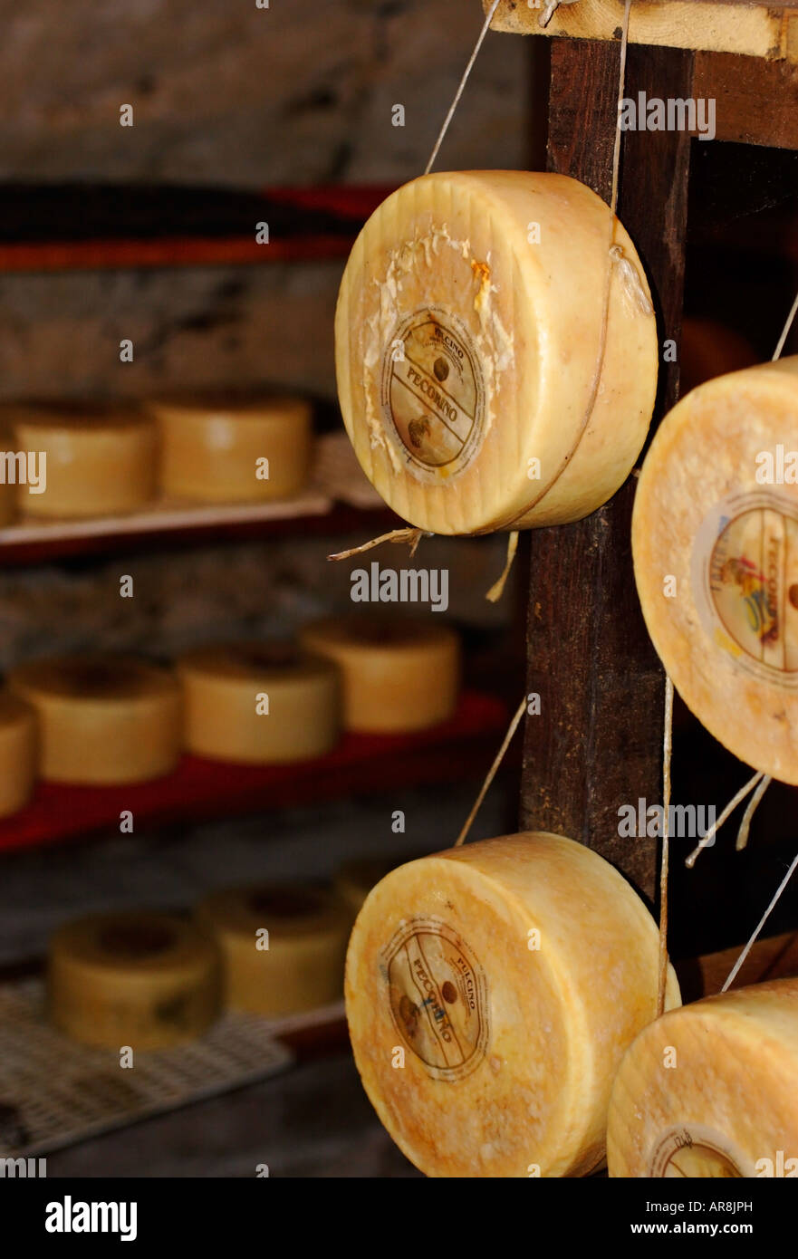 Pecorino cheese, Italy Stock Photo Alamy