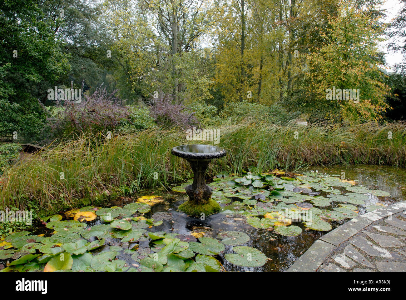 WATER FEATURE AND POND AT BROBURY HOUSE GARDENS BREDWARDINE