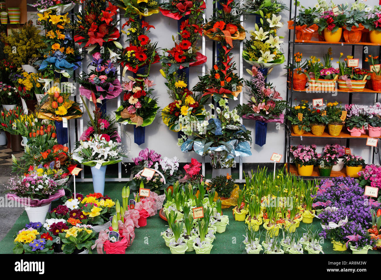 Variety reddish flower hires stock photography and images Alamy