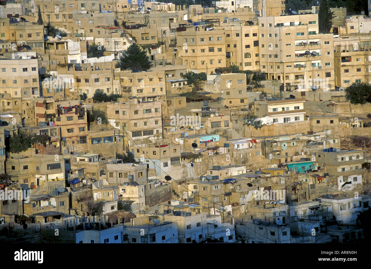  Bagdad Apartments 