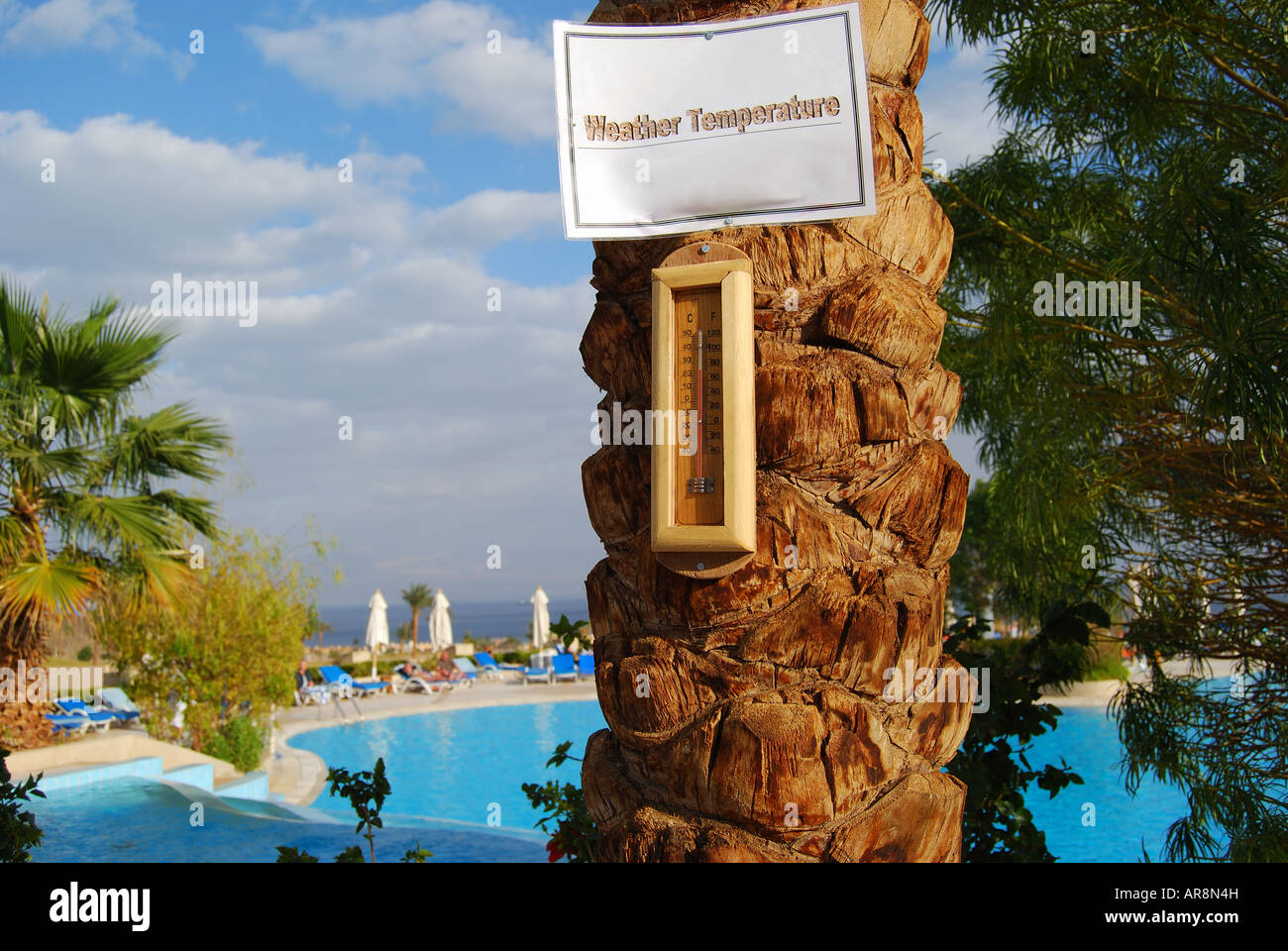 Weather thermometer on palm tree, Three Corners El Wekala Golf Resort, Taba Heights, Sinai Peninsula, Republic of Egypt Stock Photo