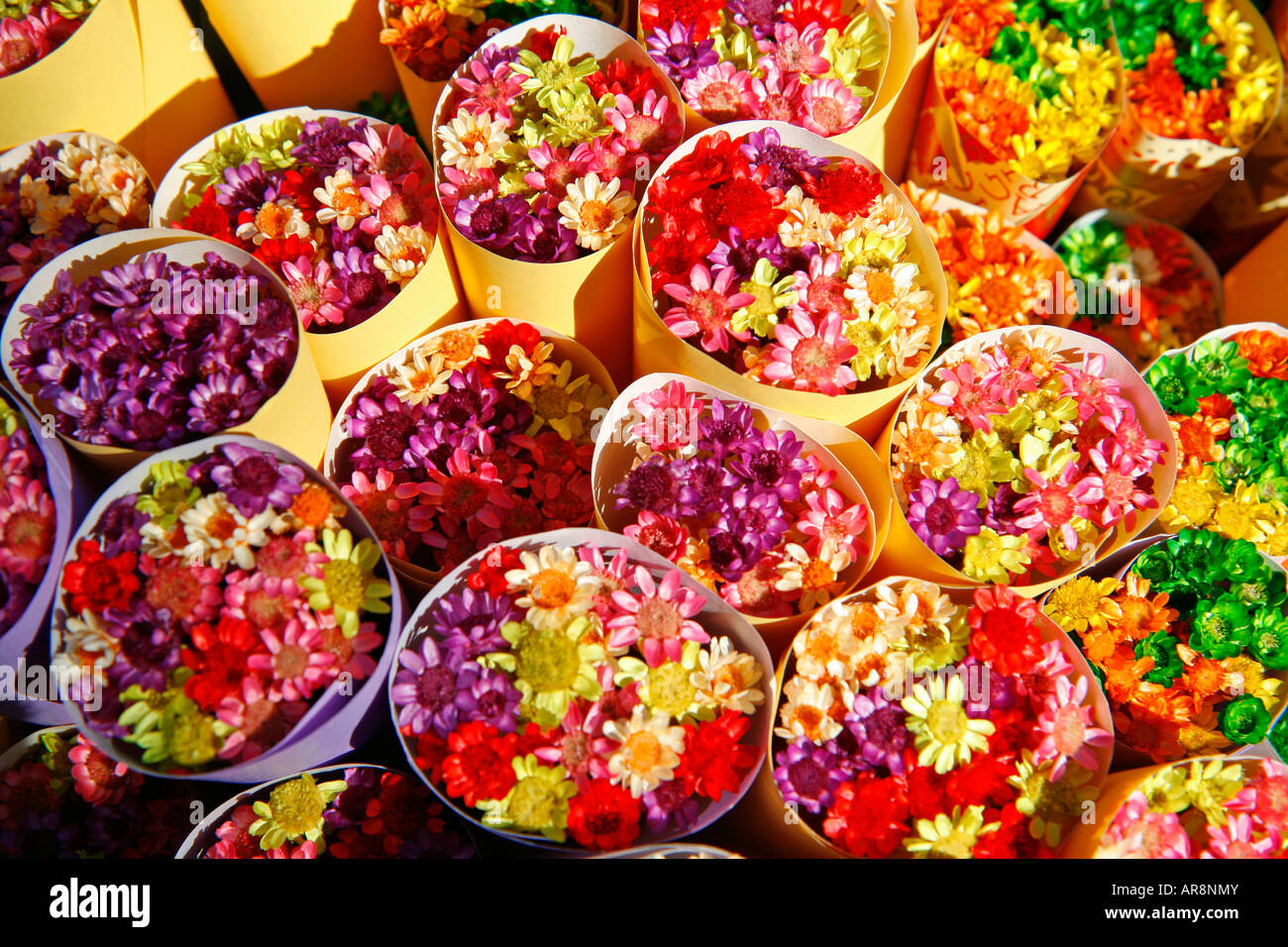 Rambla de las flores Barcelona. Dried flowers Stock Photo