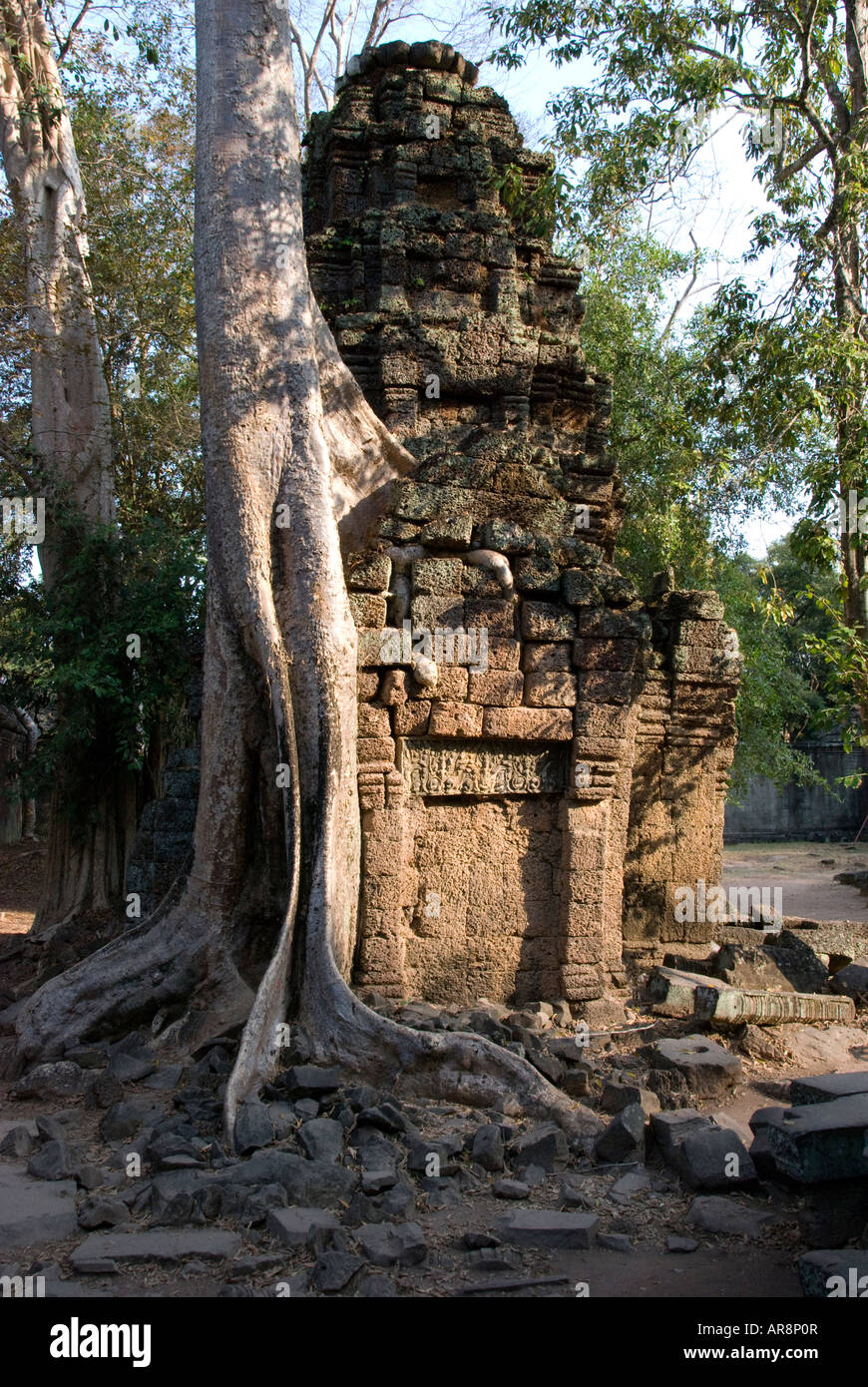Lara croft temple hires stock photography and images Alamy