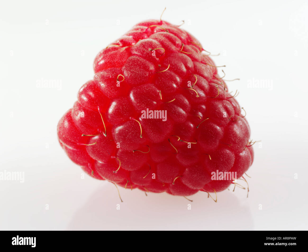 Fresh Raspberry Stock Photo