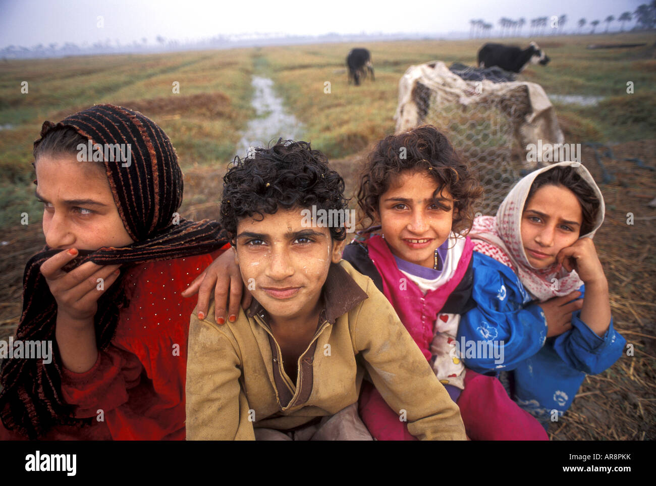 Marsh Arab children playing in fertile lands of Shatt al Arab, Iraq. Stock Photo