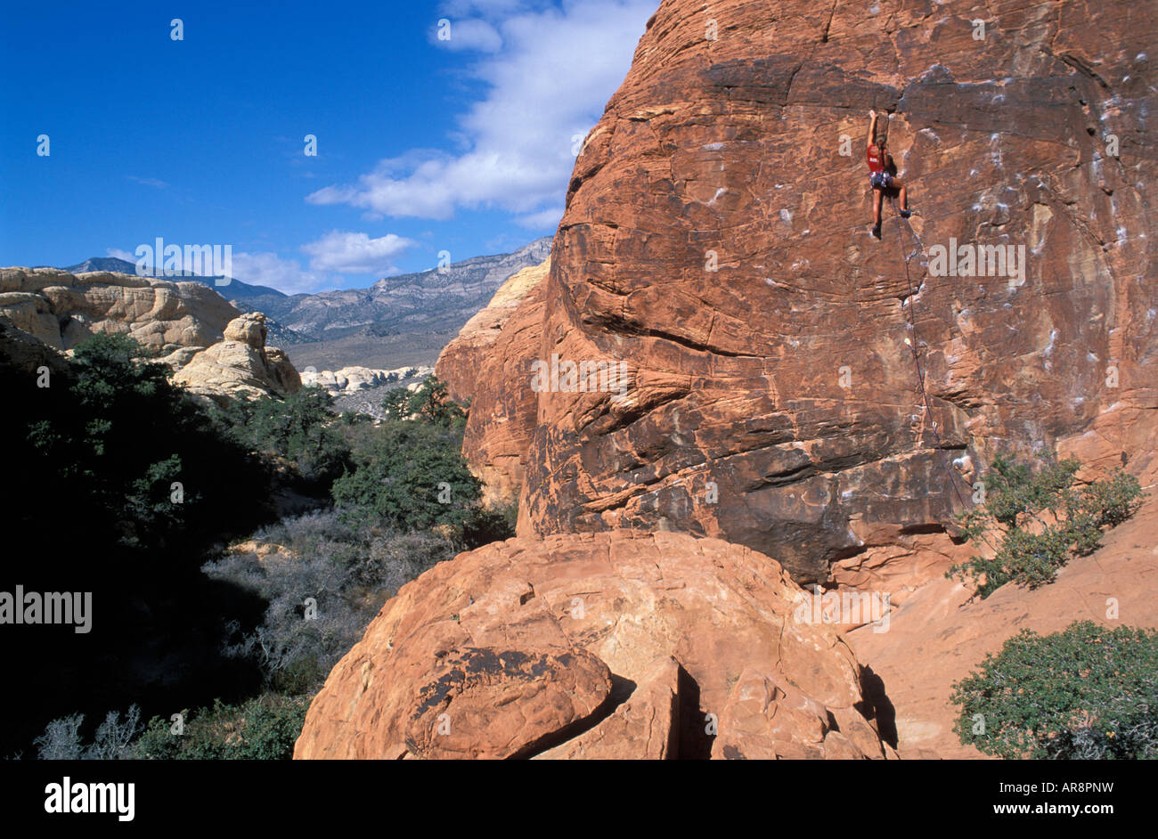Emma Williams climbing Gift Wrapped 5 11b at the Holiday Wall Red Rocks Nevada USA Stock Photo