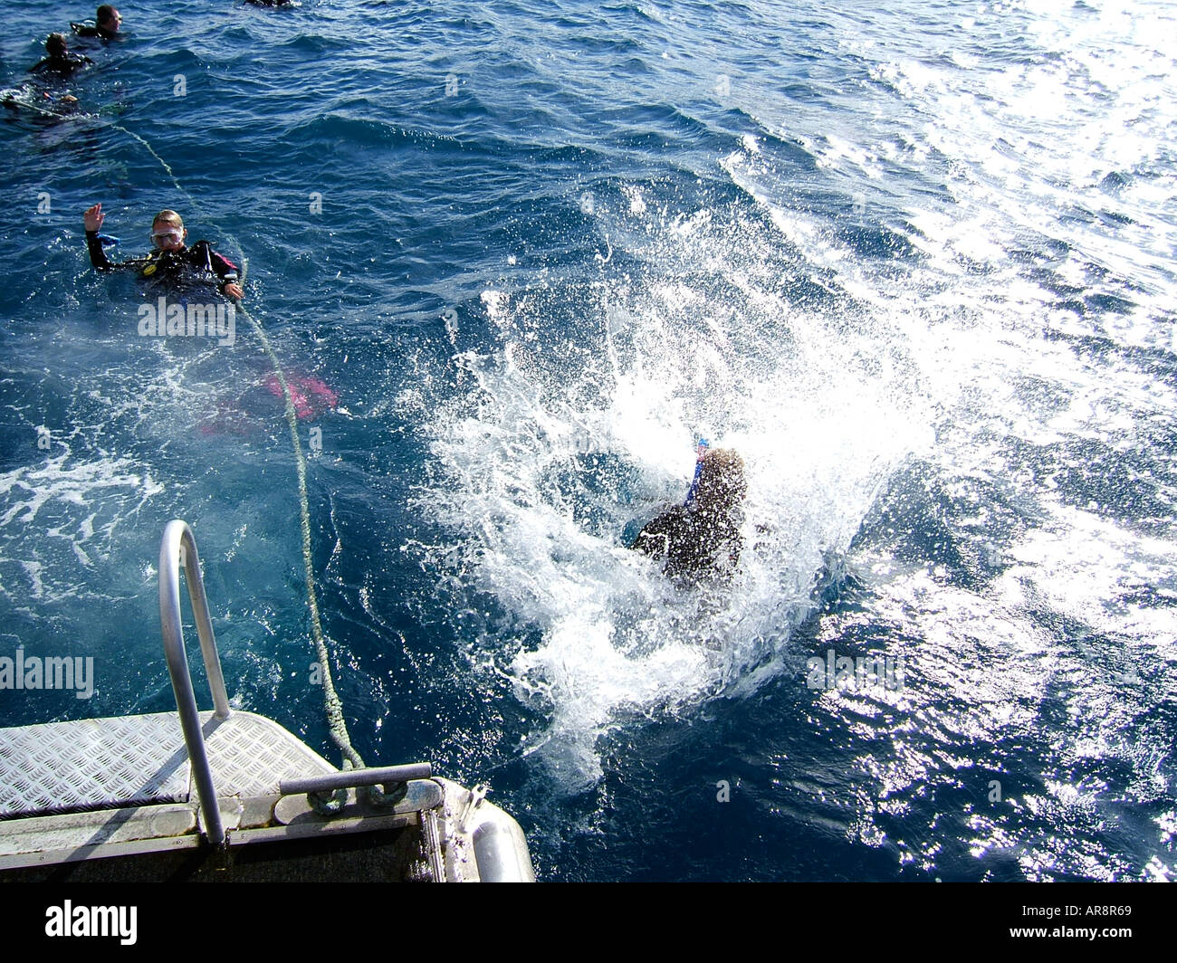 Scuba diver jumping into the water from a dive boat.Coastal waters Sydney Australia Stock Photo
