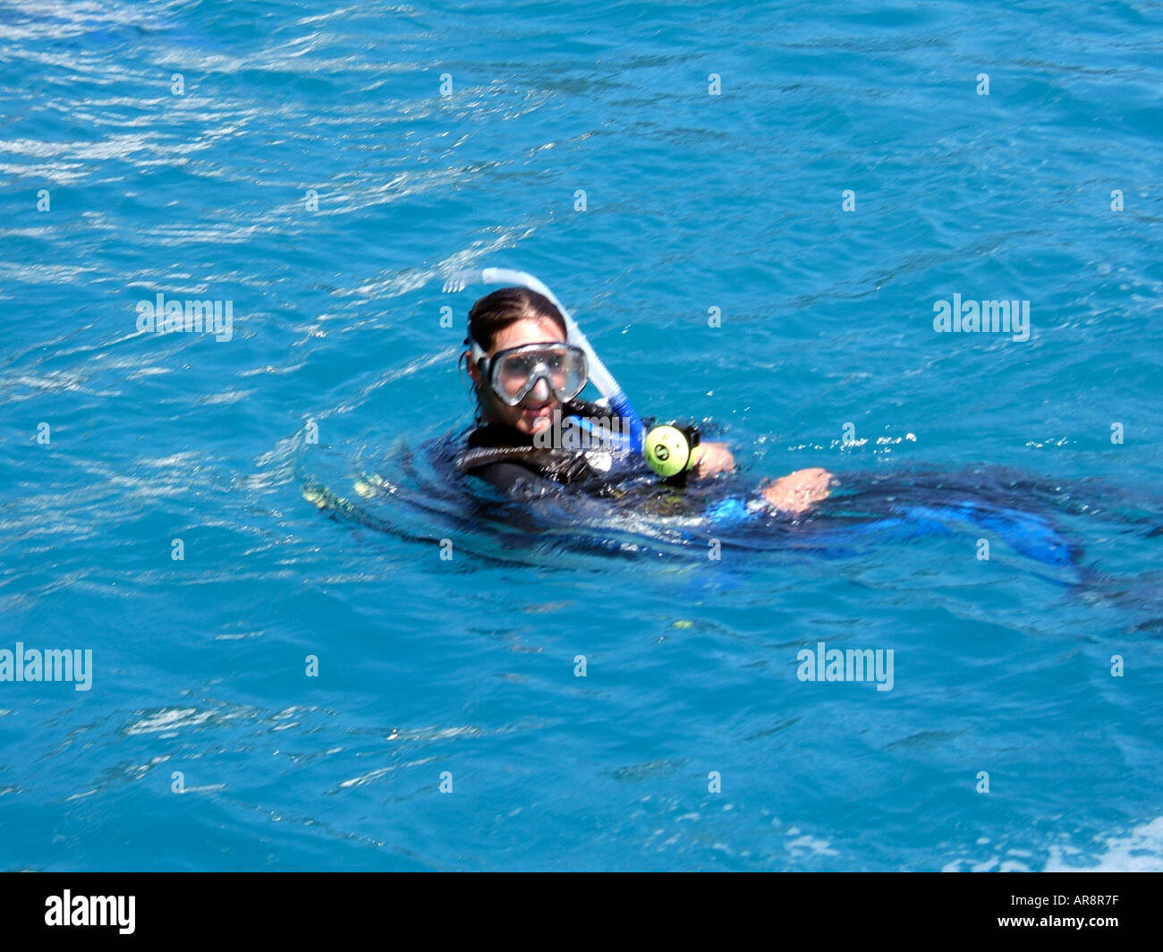 Scuba diver in the water after jumping into the sea from a dive boat.Coastal waters Sydney