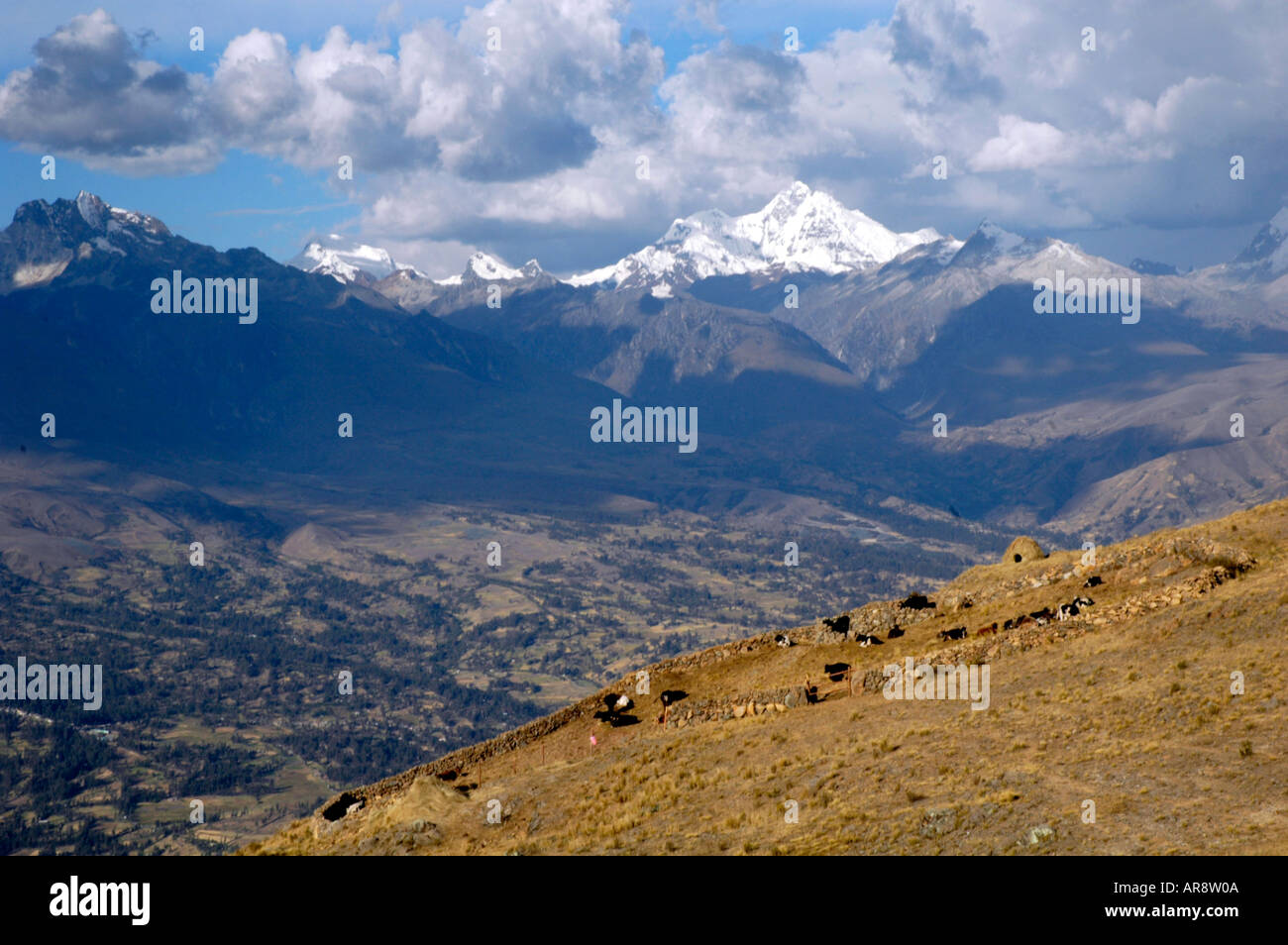 Huaraz, Cordillera Blanca Peru Andes Stock Photo - Alamy