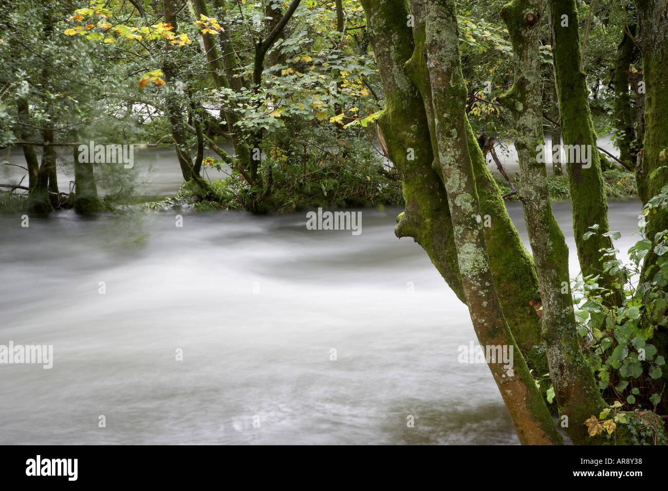 Autumn flood water at Skelwith Bridge in the Lake District, Cumbria, UK Stock Photo